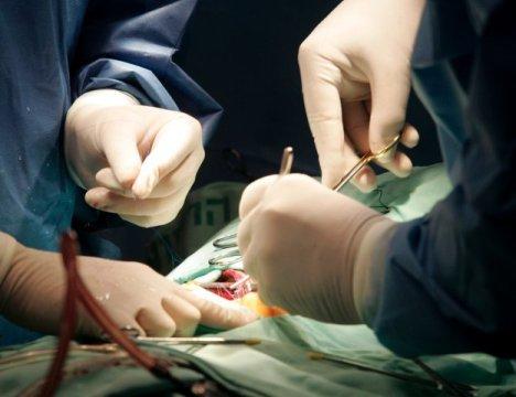 Пересадка сердца – размер имеет значение…