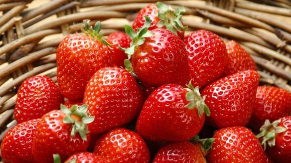 Что лучше: цельные фрукты или соки?