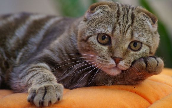 Почему мы все откладываем на потом?