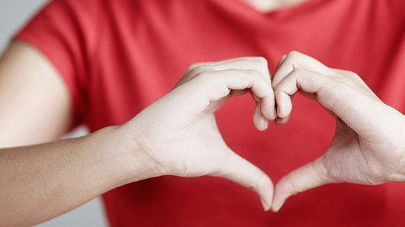 Как устроено наше сердце?