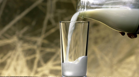 Педиатры призывают отказаться от употребления сырого молока